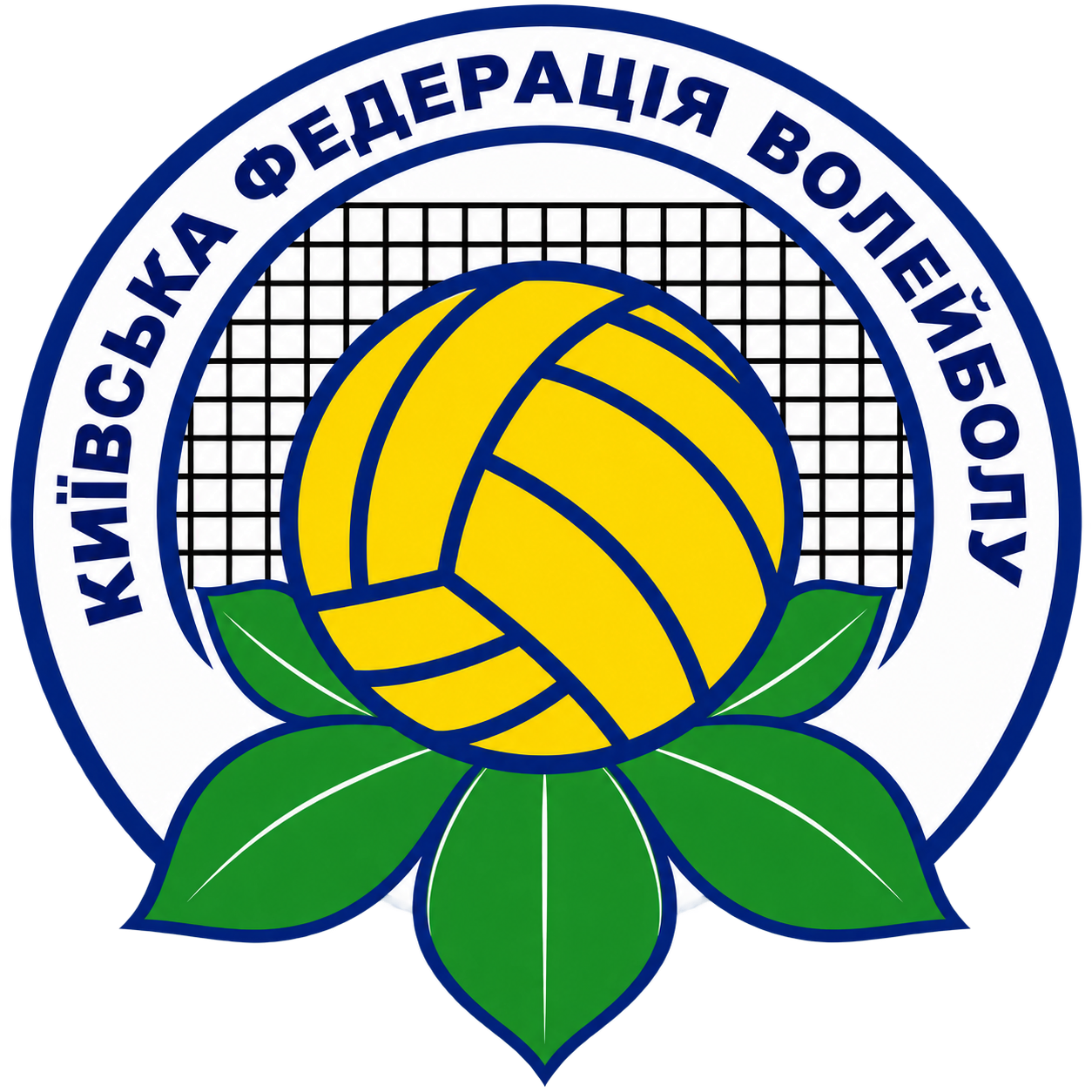 Київська федерація волейболу